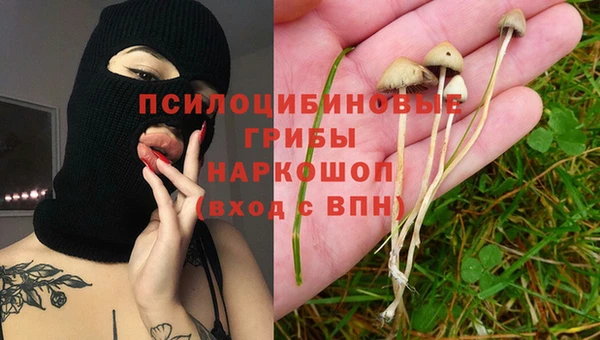 ГАЛЛЮЦИНОГЕННЫЕ ГРИБЫ Алзамай