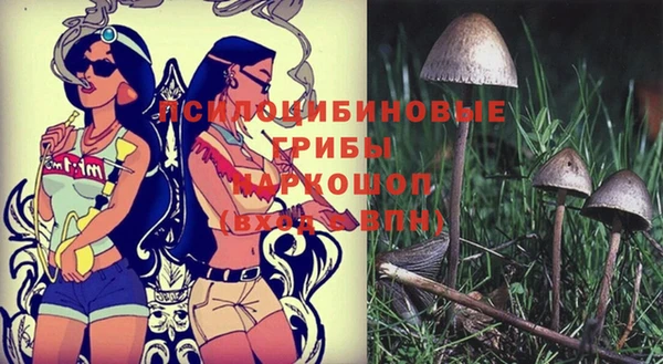 ГАЛЛЮЦИНОГЕННЫЕ ГРИБЫ Алзамай