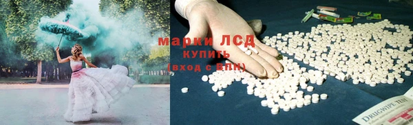 ГАЛЛЮЦИНОГЕННЫЕ ГРИБЫ Алзамай
