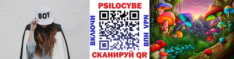 Псилоцибиновые грибы GOLDEN TEACHER  Лабытнанги 