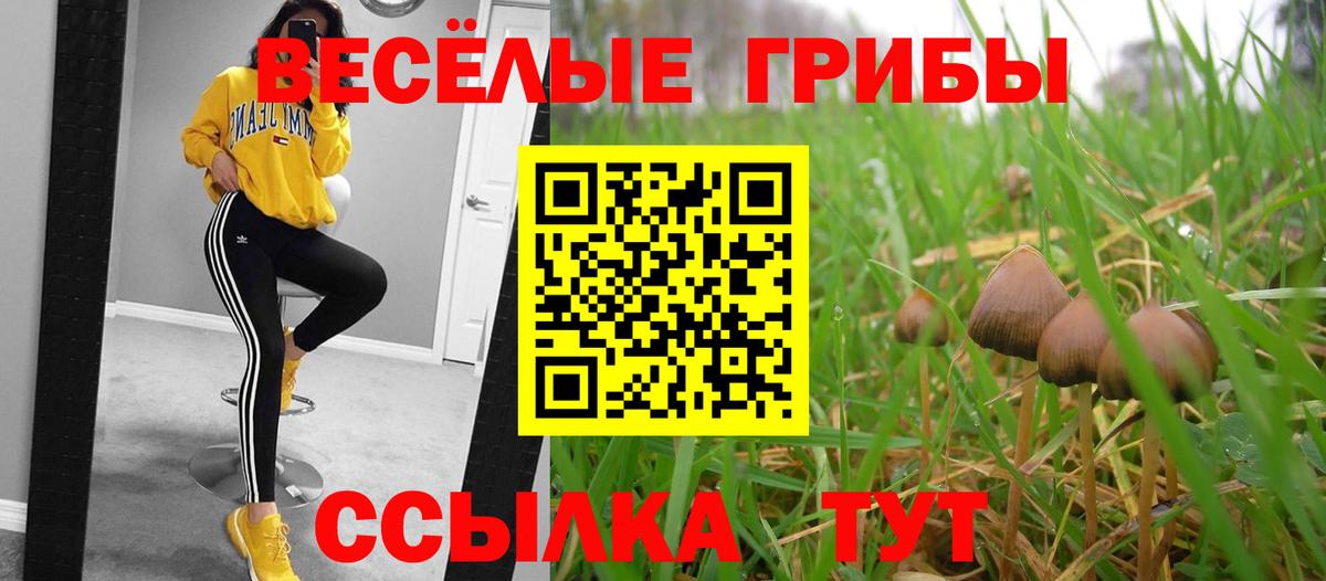 Галлюциногенные грибы MAGIC MUSHROOMS Лабытнанги