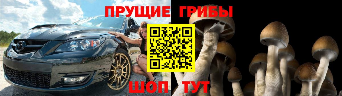 Псилоцибиновые грибы Cubensis  Вход с VPN  Лабытнанги 